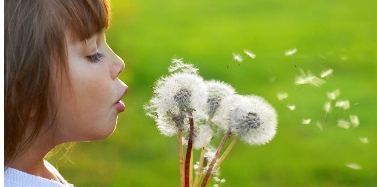 Дарението на януарските рожденици във Viva Credit е за...